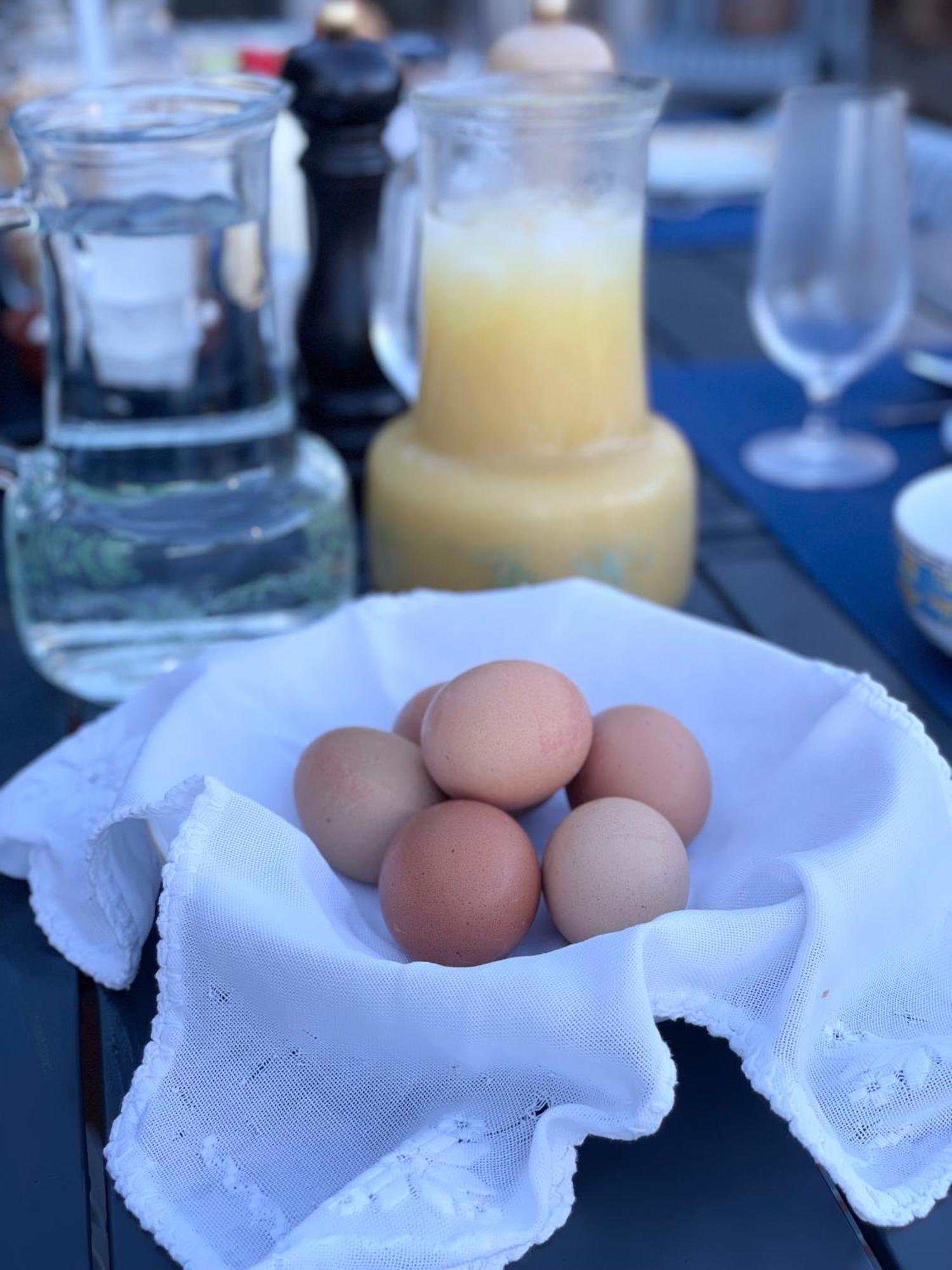 The Quixote House Bed and Breakfast Caminha Exterior foto
